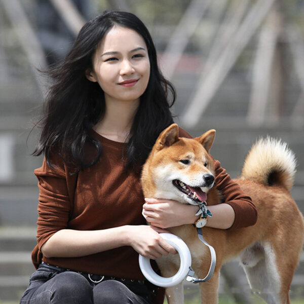 Max Dog Retractable Traction Rope Walking Leash - Image 4
