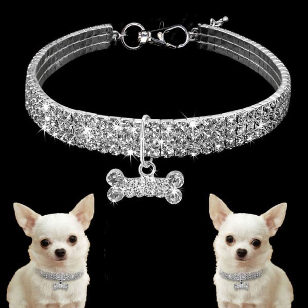 Max Dog bling rhinestone collar crystal Puppy Chihuahua - Image 3