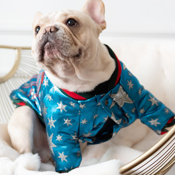 Max dog jacket clothes luxury grade back decoration - Image 2