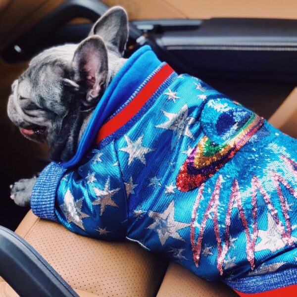 Max dog jacket clothes luxury grade back decoration - Image 5