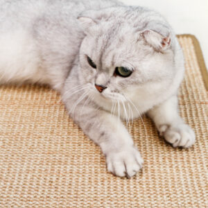 Bella Cat Pet Sisal Mat Grab Board Sofa Protective Cover