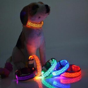 Max Dog Pet LED Collar Safety Adjustable Nylon Leopard Collar