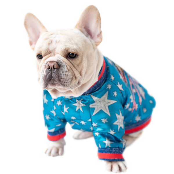 Max dog jacket clothes luxury grade back decoration - Image 4
