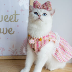 Bella Skirt Cat Pet Fashion Cute Dress