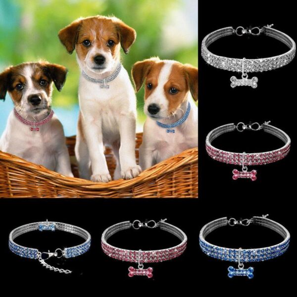 Max Dog bling rhinestone collar crystal Puppy Chihuahua - Image 2