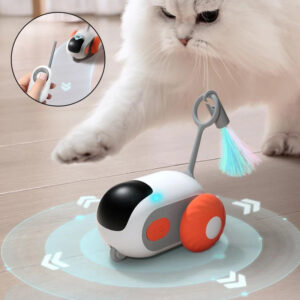 Bella Cat Pet Remote Control Interactive Cat Car Toy