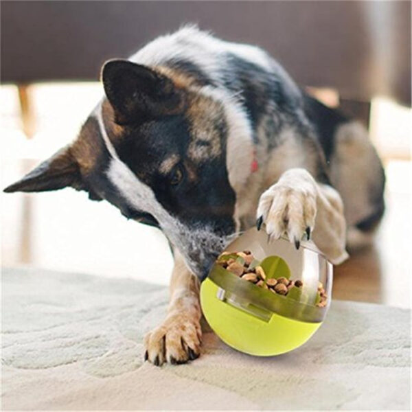 Max Dog Pet Food Leaker - Image 2