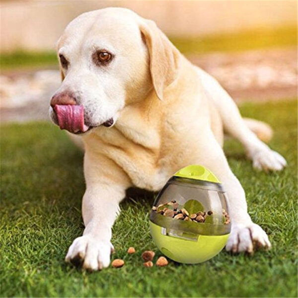 Max Dog Pet Food Leaker - Image 9