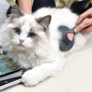 Bella Cat Comb To Remove Floating Hair