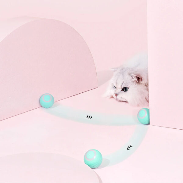 Bella Cat Pet Remote Control Interactive Cat Car Toy - Image 10
