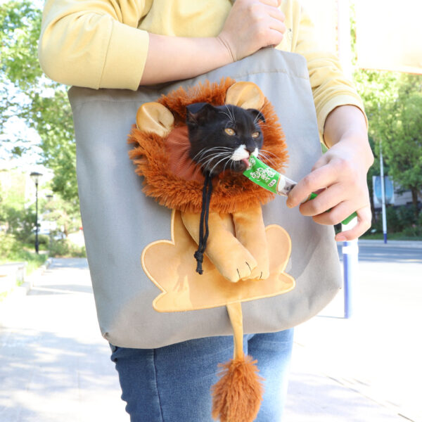 Bella Cat Pet Soft Carriers Lion Design Portable - Image 8
