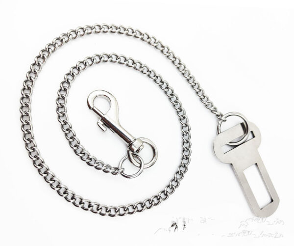 Max Dog Stainless Steel Small Chain Puppy Car Safety Rope - Image 4