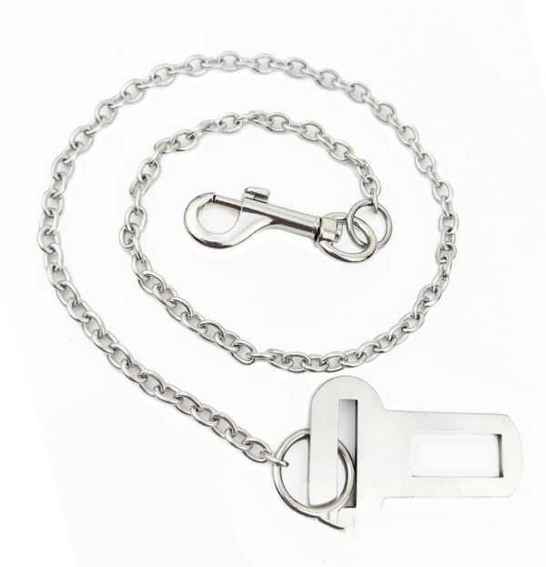 Max Dog Stainless Steel Small Chain Puppy Car Safety Rope - Image 5