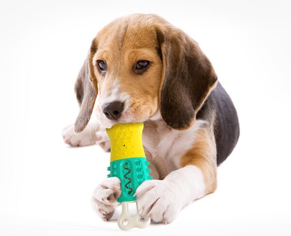 Max Dog Pet Summer Cooling Cleaning Care Teeth Chewing Supplies - Image 3