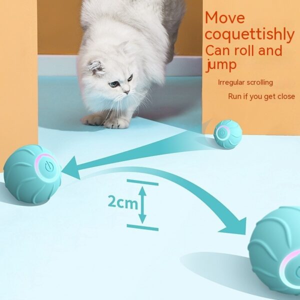 Bella Cat Pet Toy Rolling Ball - Image 6