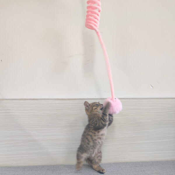Bella Cat Toy Self-Hi Sucker Spring Rabbit Hair Ball - Image 2