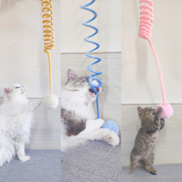 Bella Cat Toy Self-Hi Sucker Spring Rabbit Hair Ball