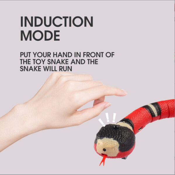 Bella Cat Pet Interactive Electric Induction Snake Funny Cat Toy - Image 3
