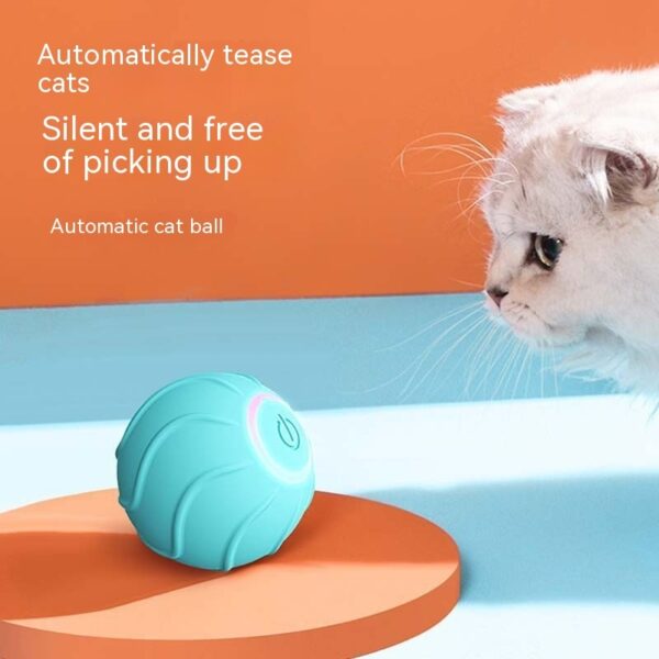 Bella Cat Pet Toy Rolling Ball - Image 5