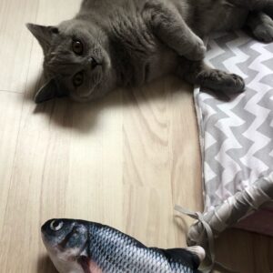 Bella Cat Pet Simulation Electric Funny Simulation Fish