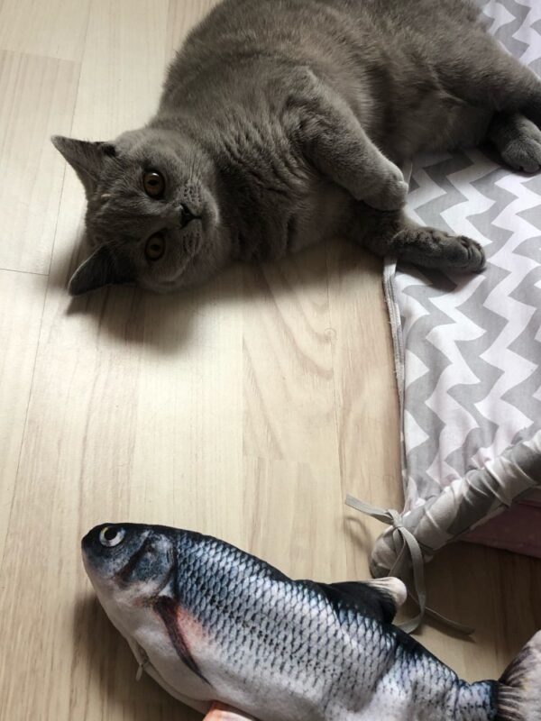 Bella Cat Pet Simulation Electric Funny Simulation Fish