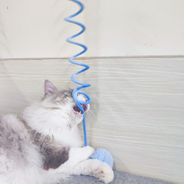 Bella Cat Toy Self-Hi Sucker Spring Rabbit Hair Ball - Image 3