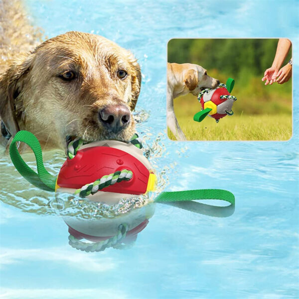 Max Dog Pet Interactive Football Soccer Ball - Image 9