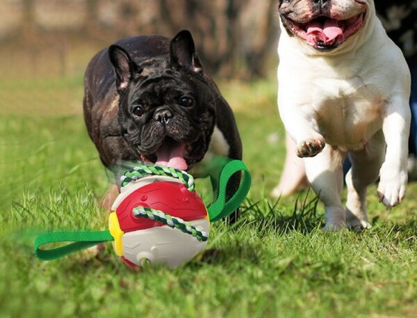 Max Dog Pet Interactive Football Soccer Ball - Image 2