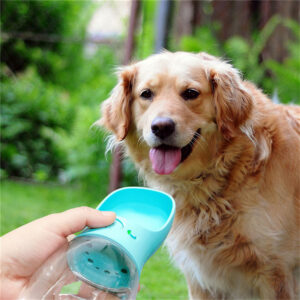 Max Dog Pet Water Cup Outdoor Portable Water Bottle