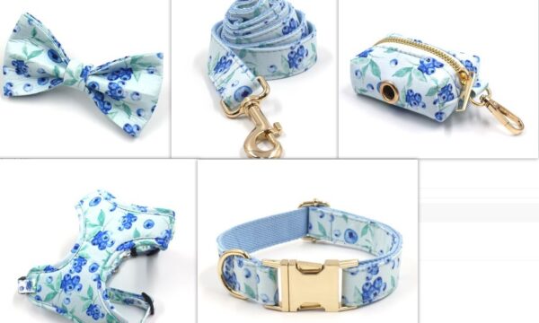Bella Cat Pet Cute Blueberry Print Out Chest And Back Leash Set - Image 4