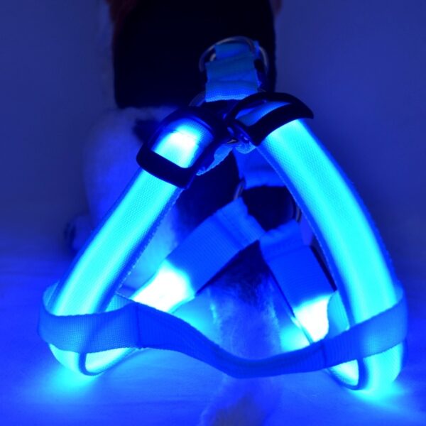 Max Dog Pet Led Luminous Chest Strap Leash - Image 7