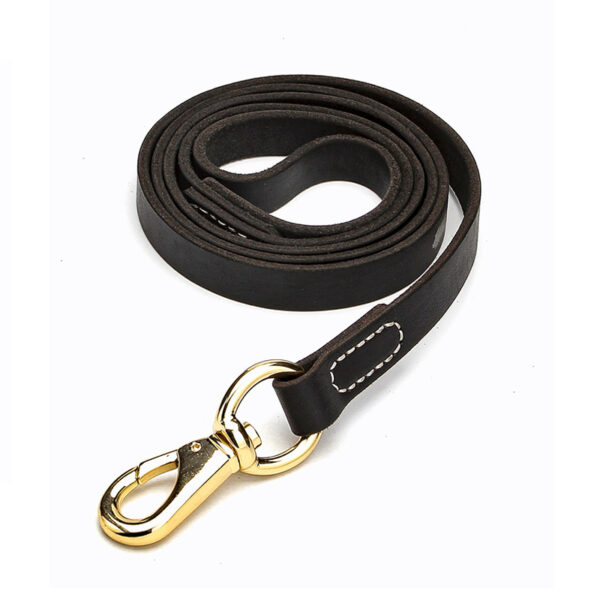 Max Dog Pet Cowhide Leash To Walk Golden Retriever