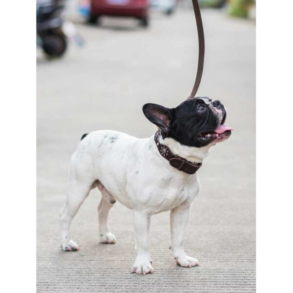 Max Dog Pet Cowhide Leash To Walk Golden Retriever - Image 5