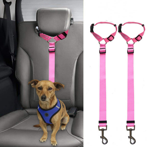 Max Dog Pet Car Backseat Leash for stability - Image 2