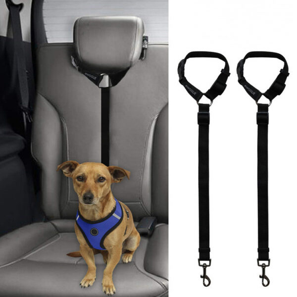 Max Dog Pet Car Backseat Leash for stability - Image 9