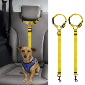Max Dog Pet Car Backseat Leash for stability