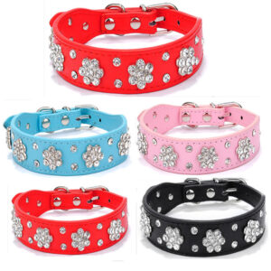 Max Dog Pet Collar Rhinestone Plum