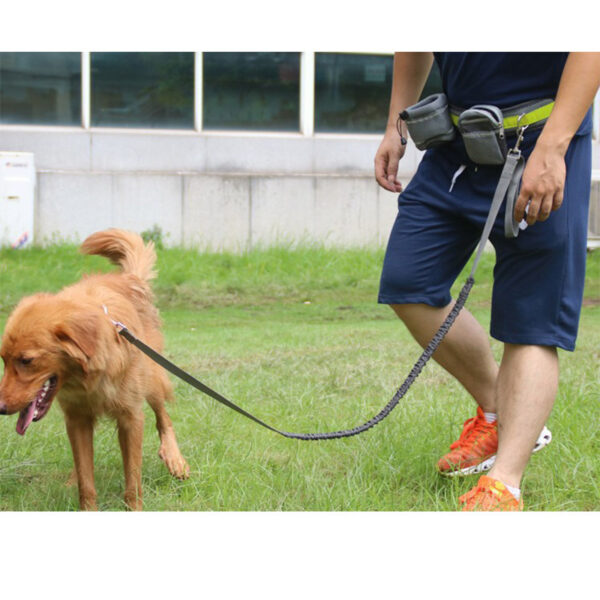 Max Dog Pet Adjustable Hands Free Dog Leash - Image 9