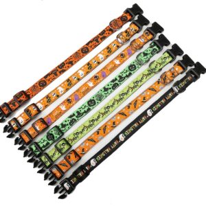Bella Cat Pet Halloween collar
