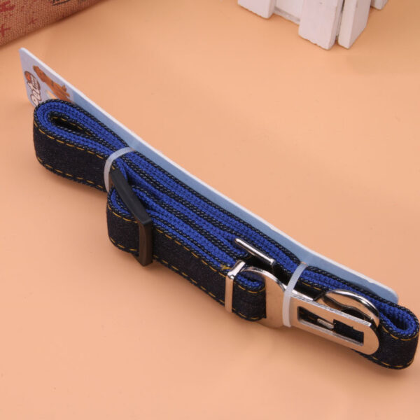 Max Dog Pet Car Cowboy Retractable Safety Leash - Image 5