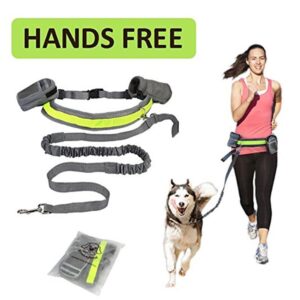 Max Dog Pet Adjustable Hands Free Dog Leash