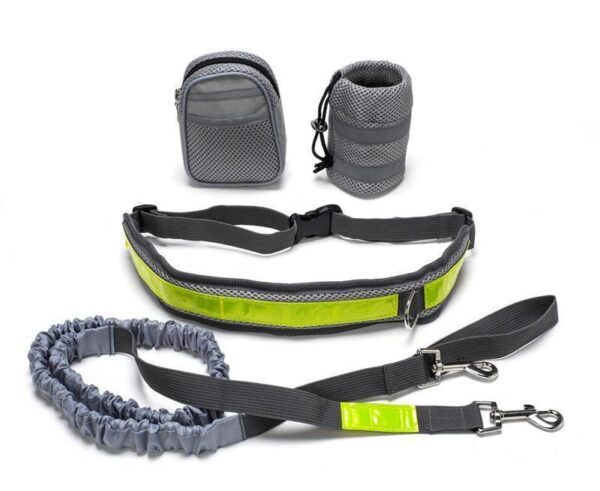 Max Dog Pet Adjustable Hands Free Dog Leash - Image 5