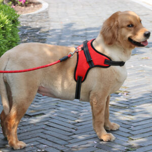 Max Dog Pet New Nylon Harness Collar K9 Padded Extra Reflective