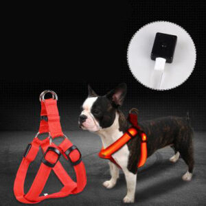 Max Dog Pet Led Luminous Chest Strap Leash