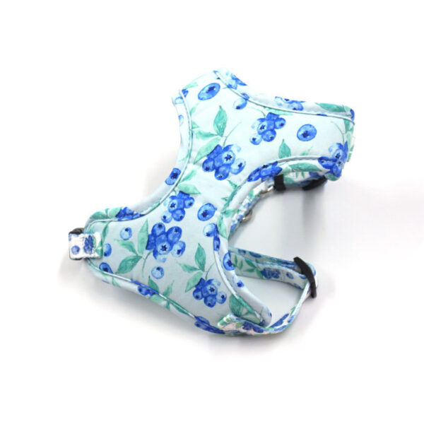Bella Cat Pet Cute Blueberry Print Out Chest And Back Leash Set - Image 8