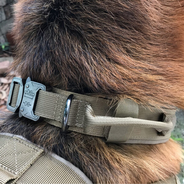 Max Dog Pet Collar - Image 3